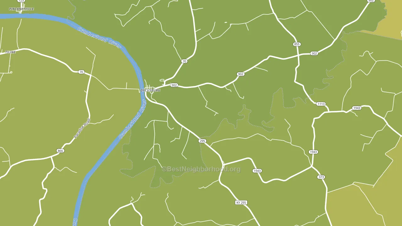 Dycusburg, KY block-group voter-turnout map