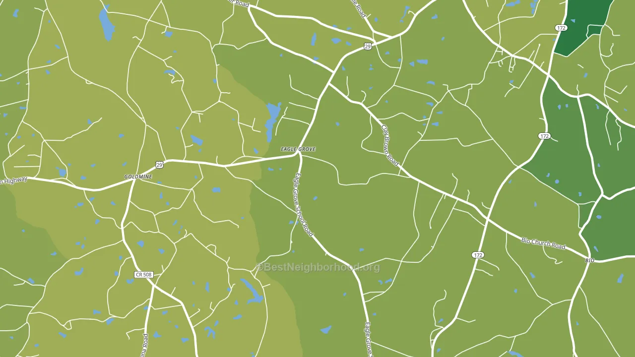 Eagle Grove, GA block-group voter-turnout map