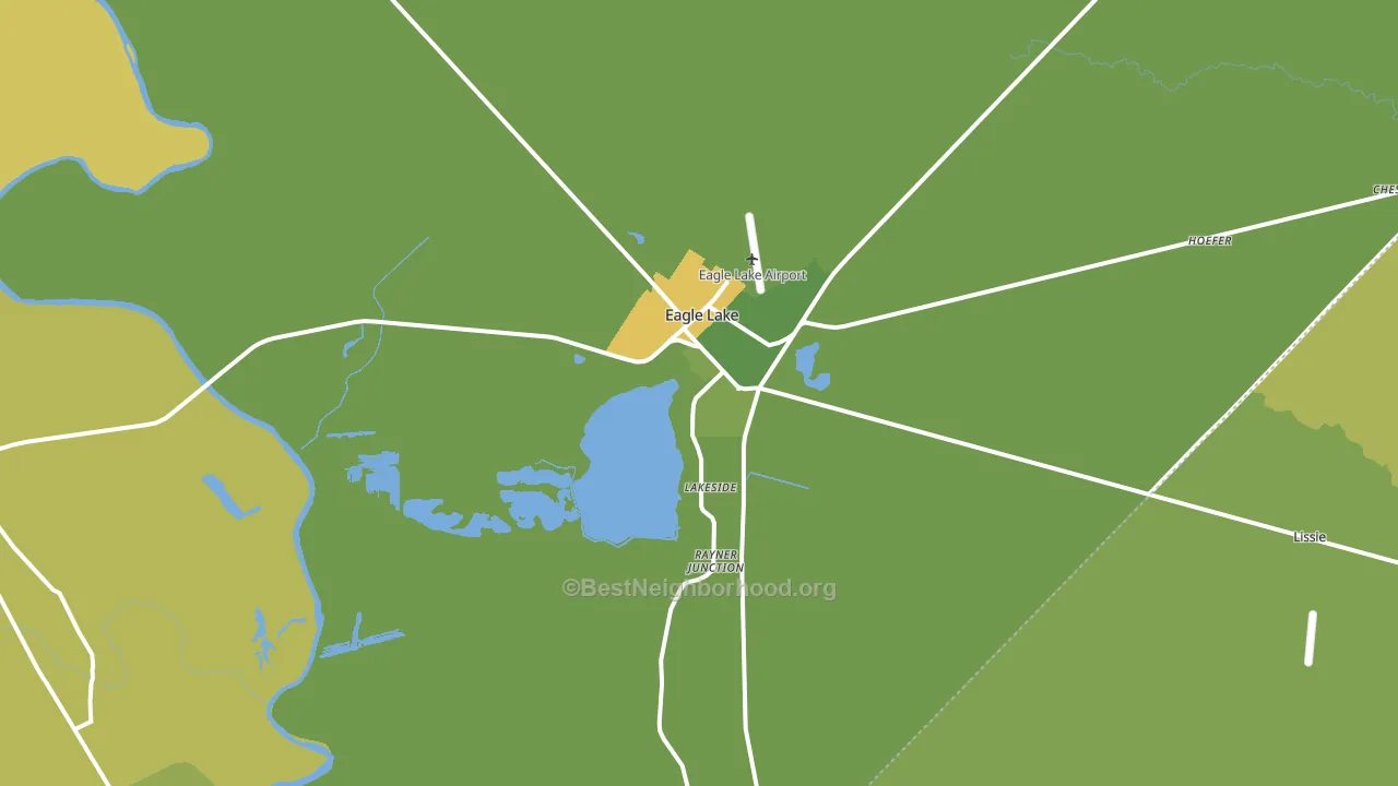 Eagle Lake, TX block-group voter-turnout map