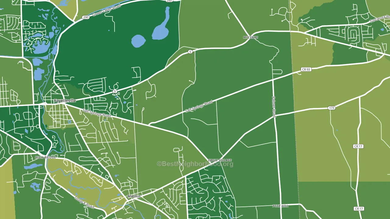 Eagle Village, NY block-group voter-turnout map