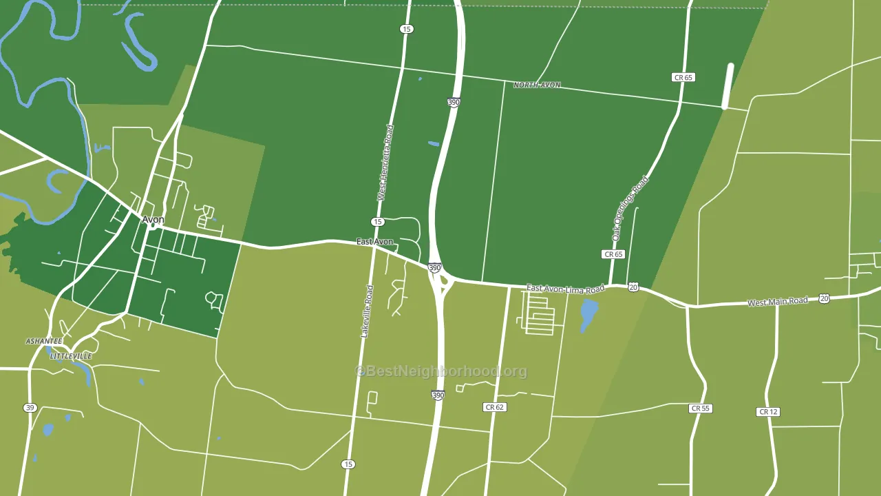 East Avon, NY block-group voter-turnout map