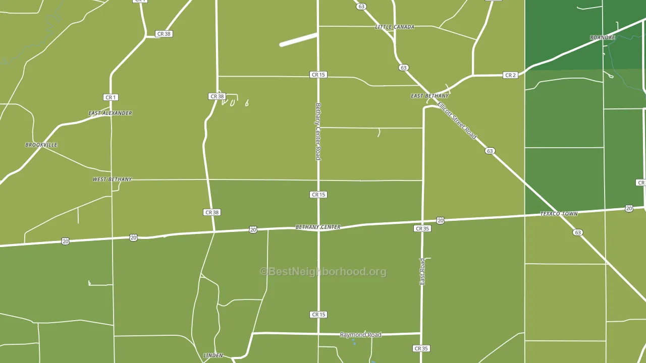 East Bethany, NY block-group voter-turnout map