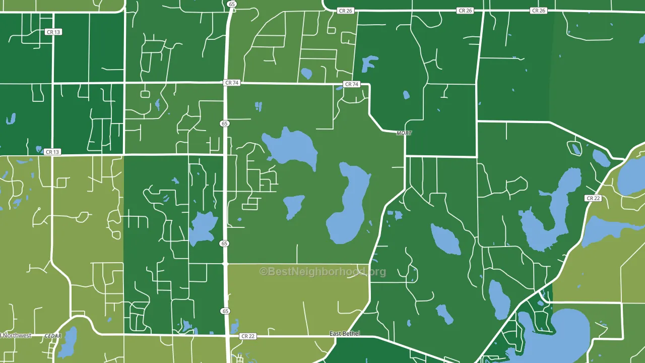 East Bethel, MN block-group voter-turnout map