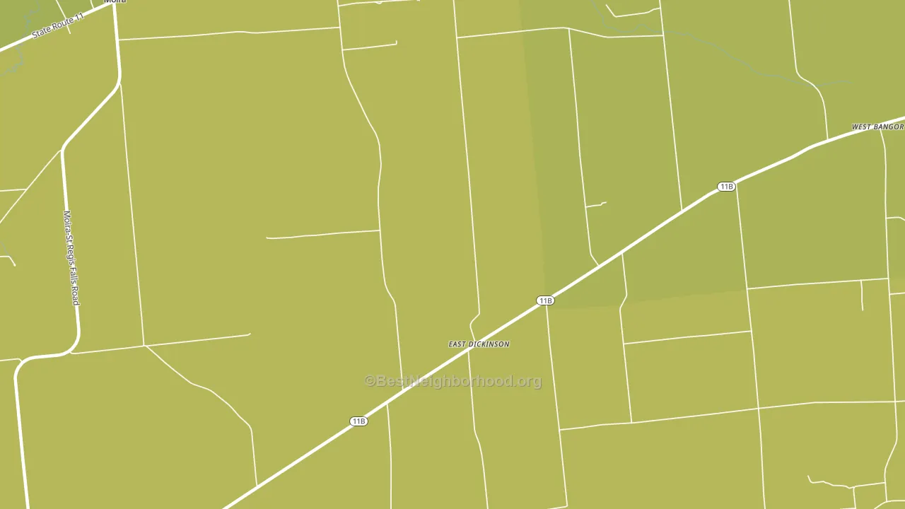 East Dickinson, NY block-group voter-turnout map