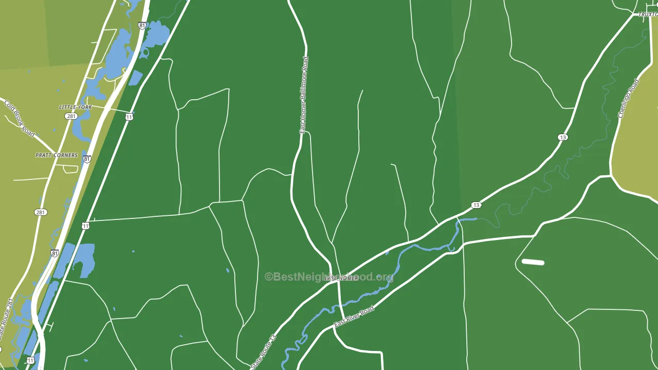 East Homer, NY block-group voter-turnout map