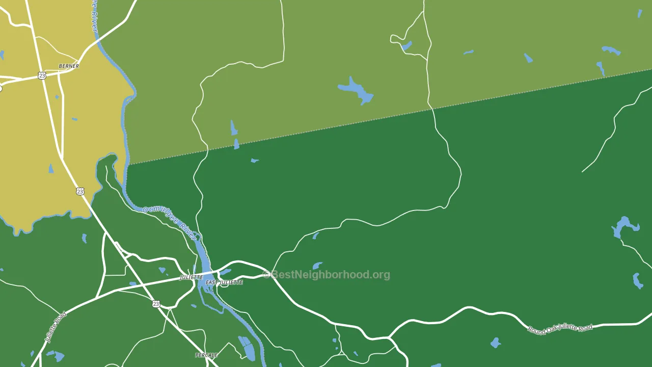East Juliette, GA block-group voter-turnout map