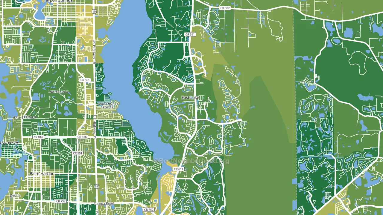 East Lake, FL block-group voter-turnout map
