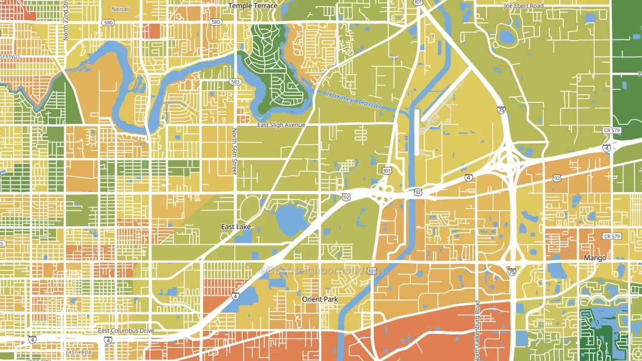 East Lake-Orient Park, FL block-group voter-turnout map