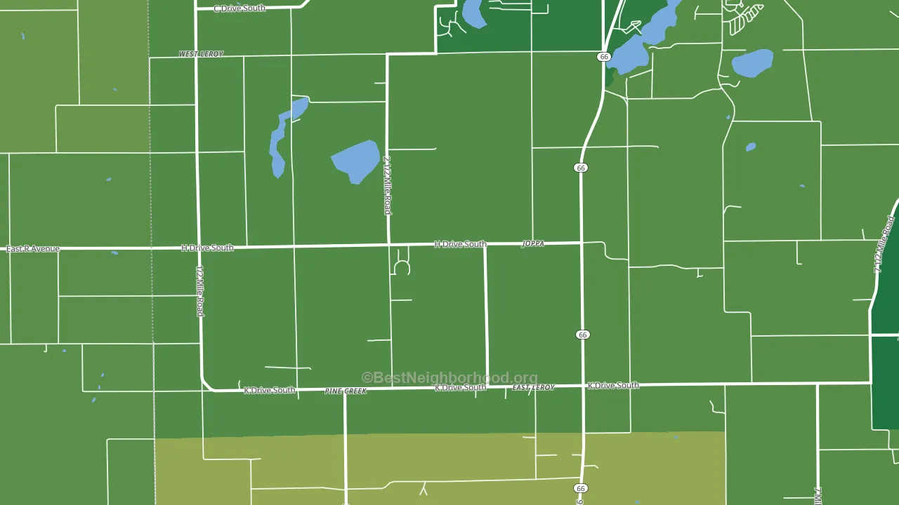 East Leroy, MI block-group voter-turnout map