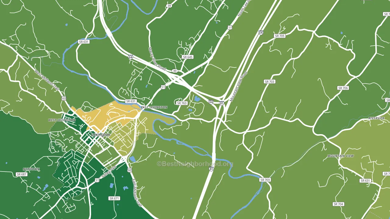 East Lexington, VA block-group voter-turnout map
