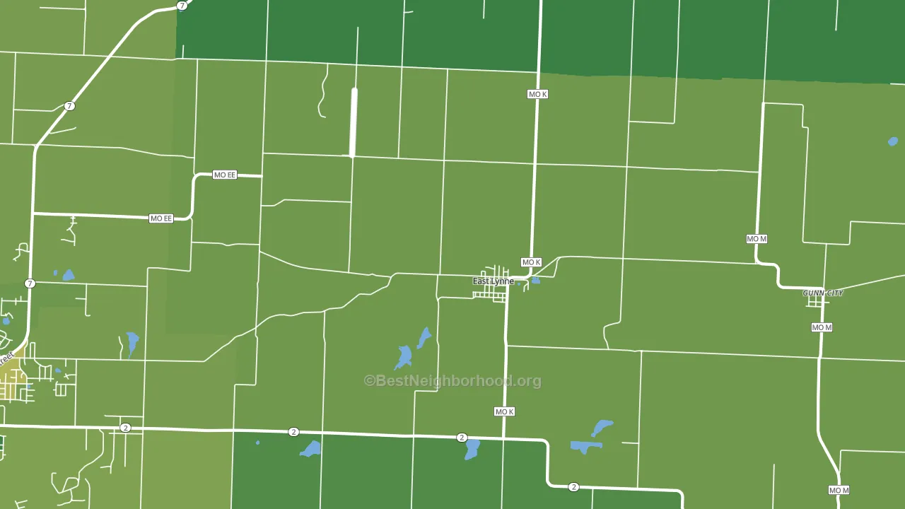East Lynne, MO block-group voter-turnout map