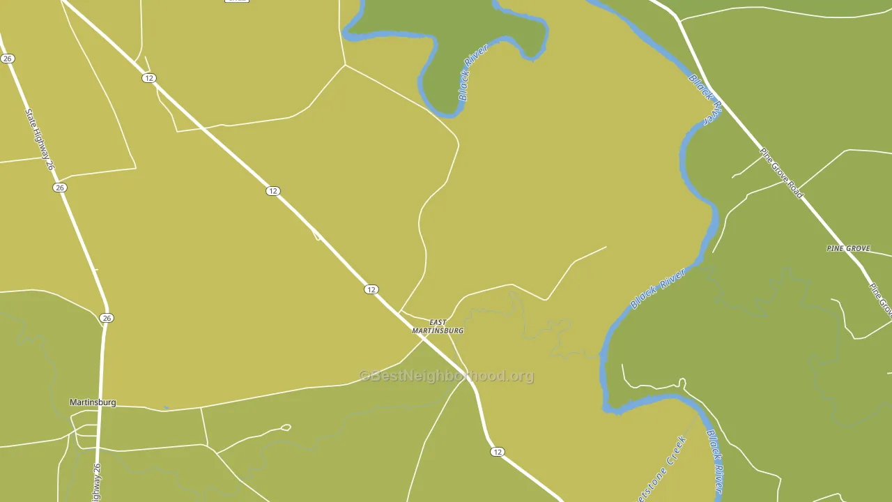East Martinsburg, NY block-group voter-turnout map