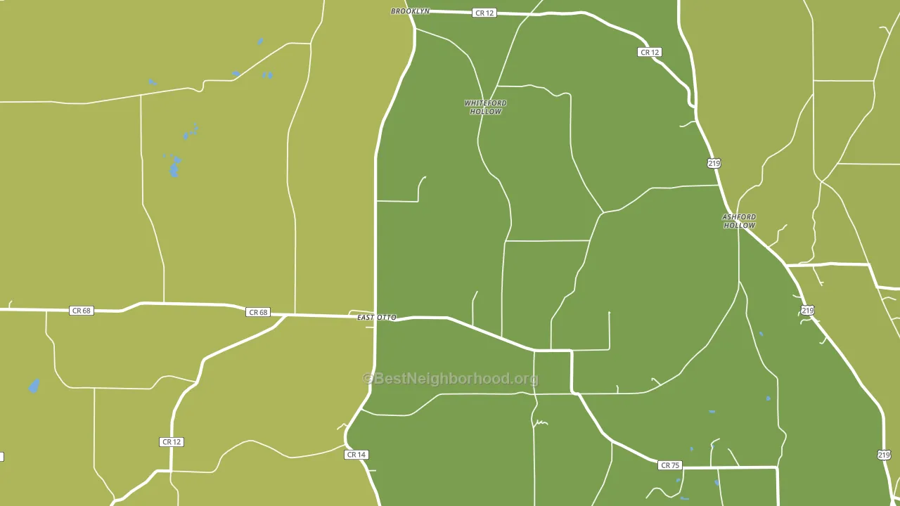 East Otto, NY block-group voter-turnout map