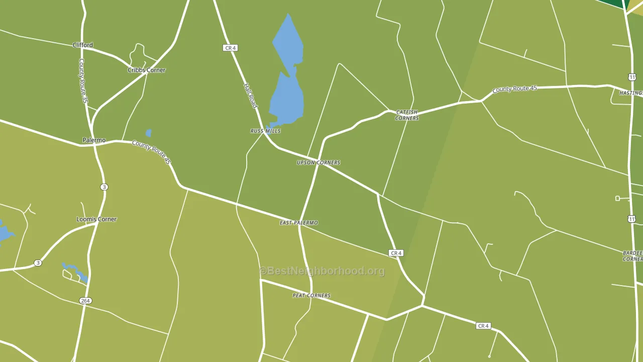 East Palermo, NY block-group voter-turnout map