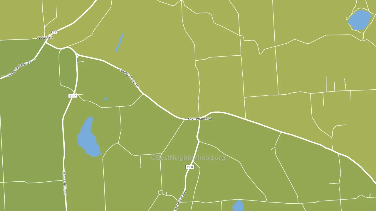 East Pharsalia, NY block-group voter-turnout map