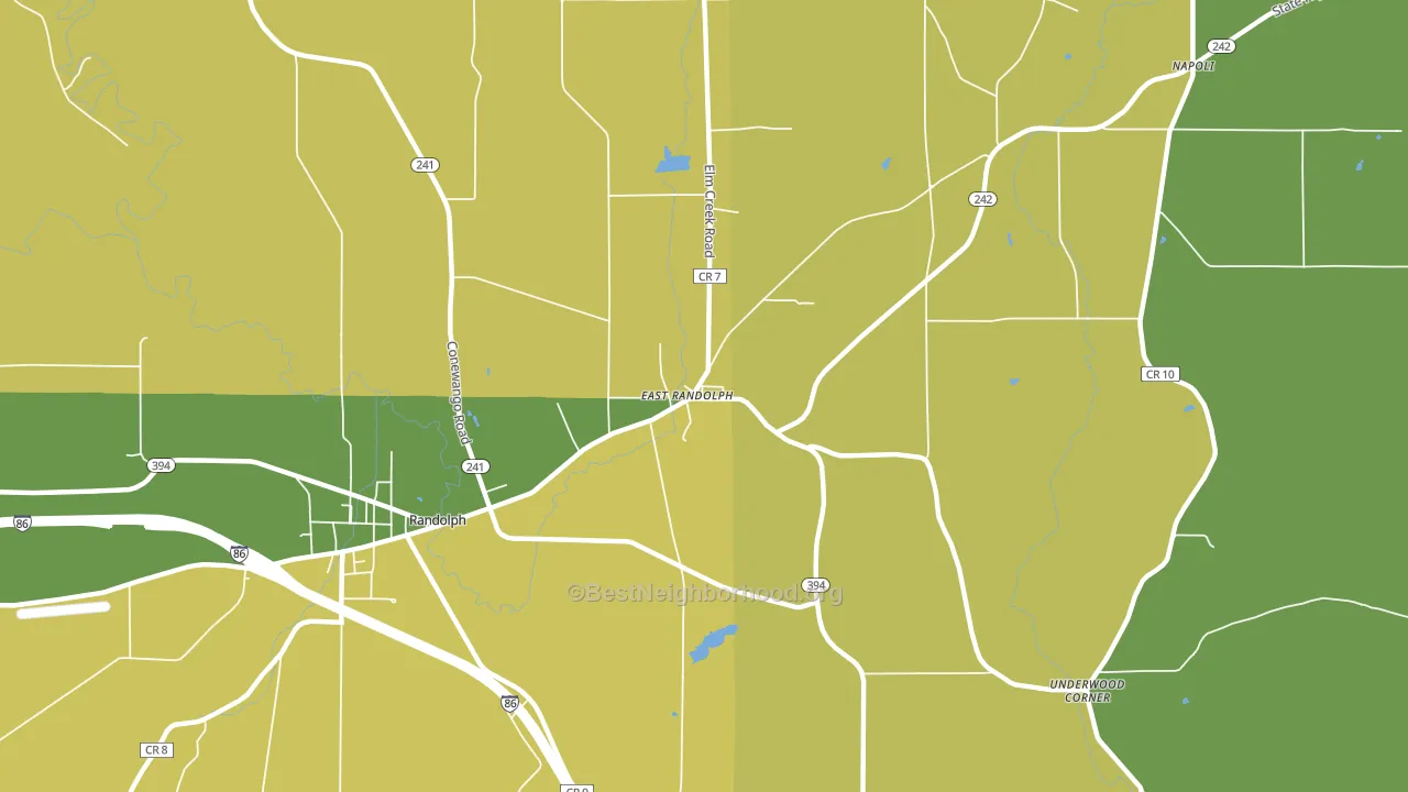 East Randolph, NY block-group voter-turnout map