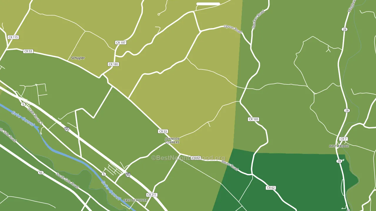 East Schuyler, NY block-group voter-turnout map