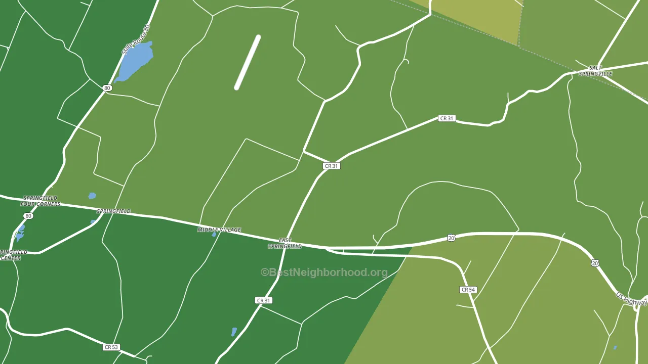 East Springfield, NY block-group voter-turnout map