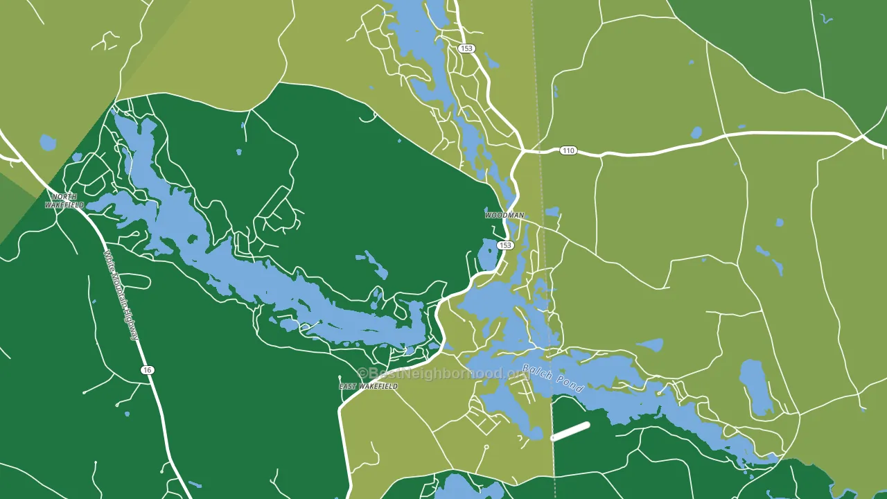 East Wakefield, NH block-group voter-turnout map