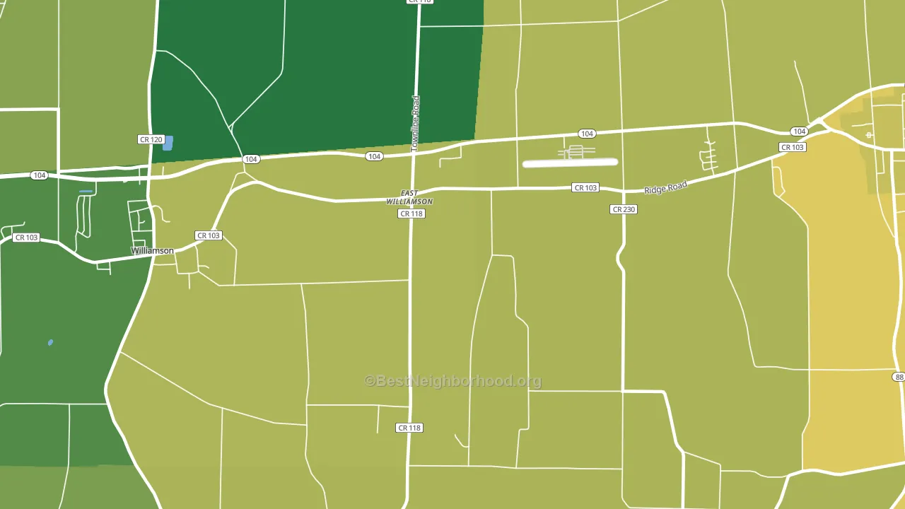 East Williamson, NY block-group voter-turnout map