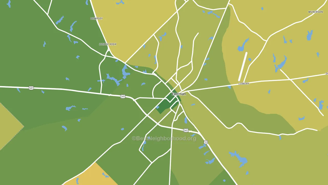 Eastman, GA block-group voter-turnout map