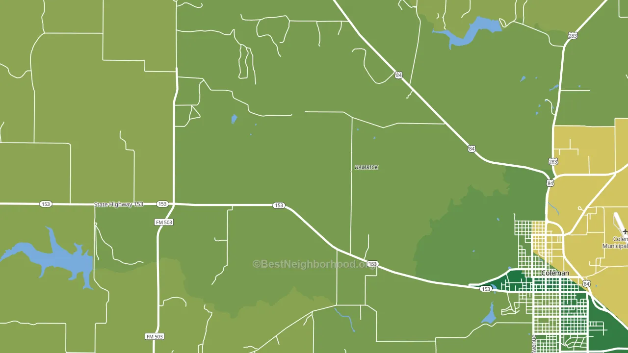 Echo, TX block-group voter-turnout map