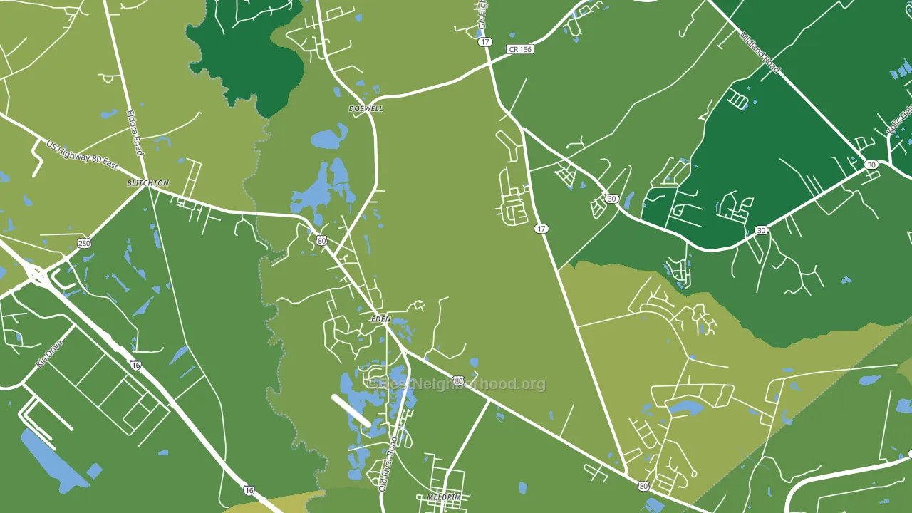 Eden, GA block-group voter-turnout map