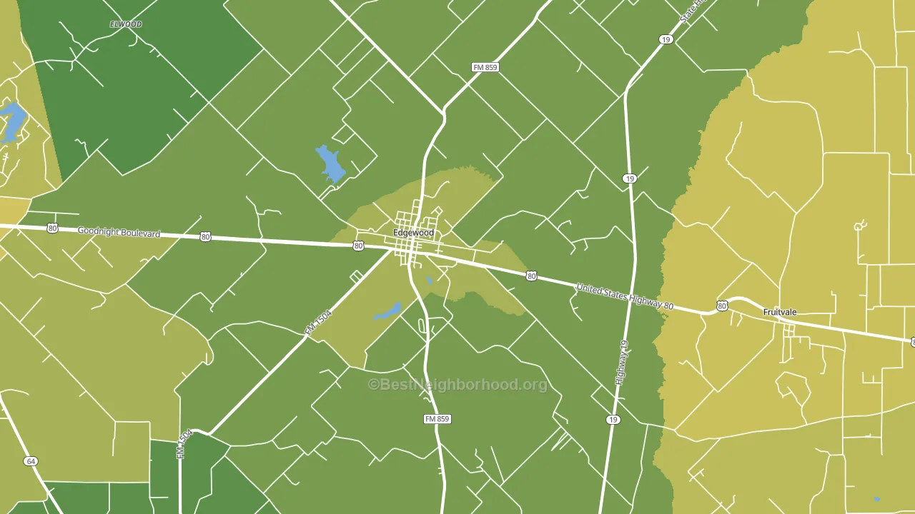 Edgewood, TX block-group voter-turnout map