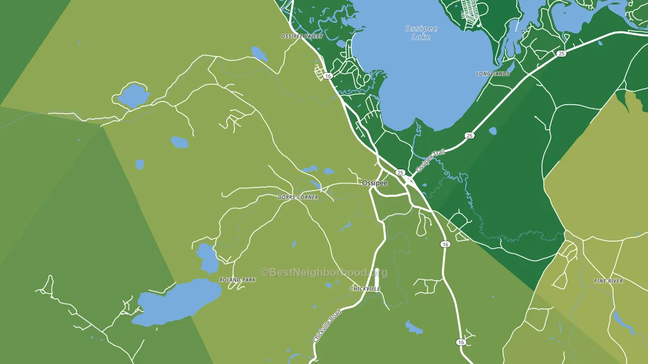 Effingham, NH block-group voter-turnout map