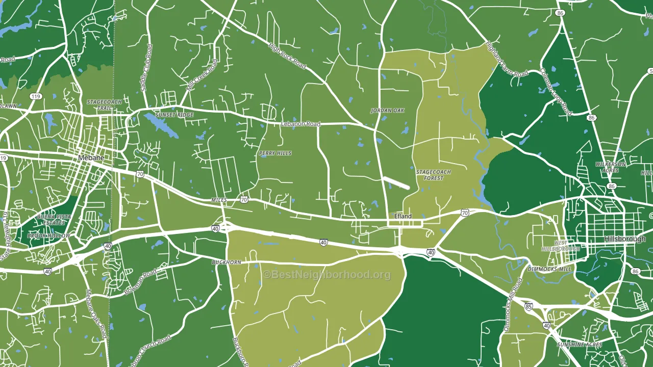 Efland, NC block-group voter-turnout map
