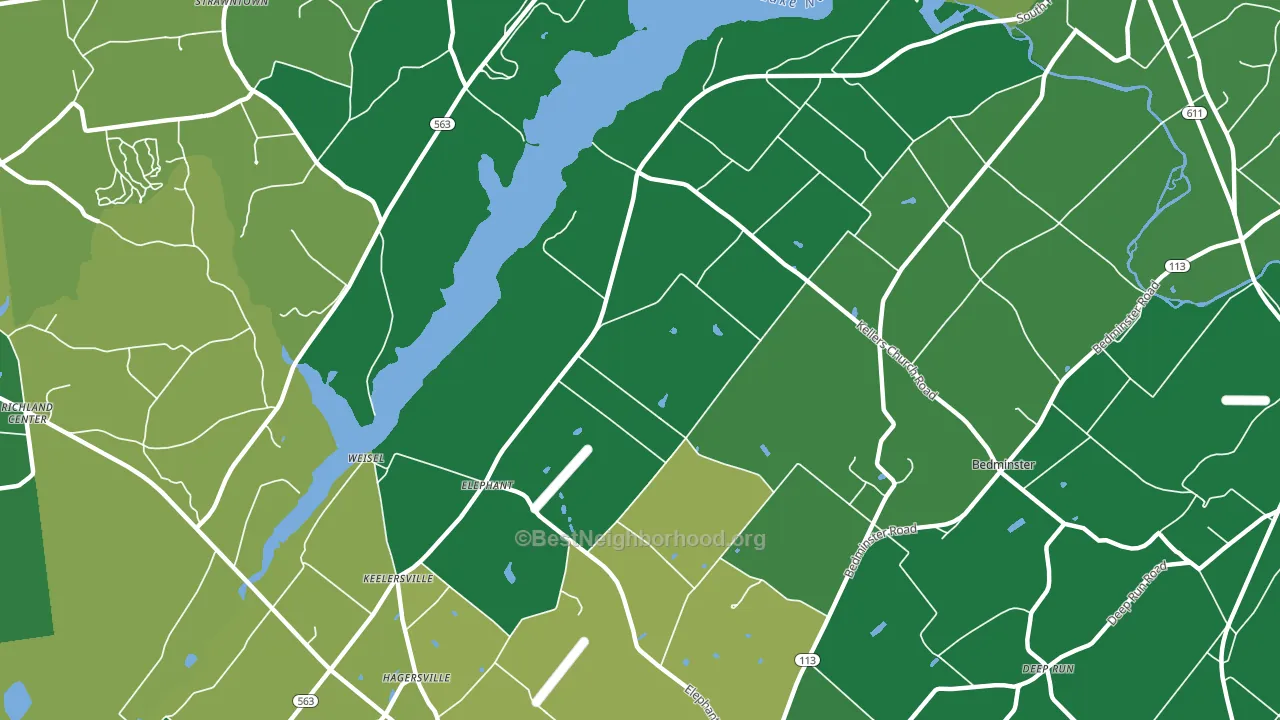 Elephant, PA block-group voter-turnout map