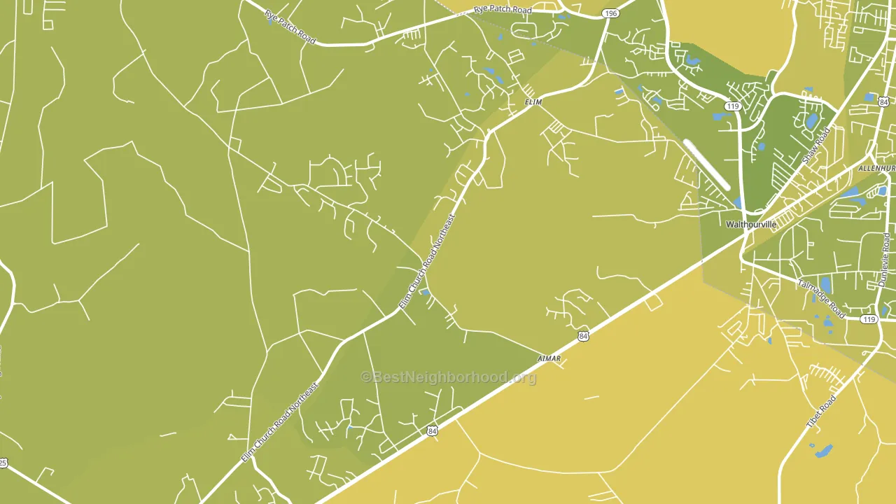 Elim, GA block-group voter-turnout map