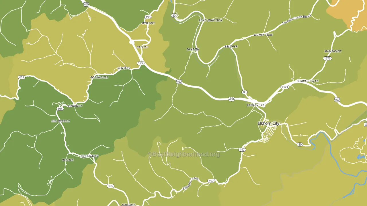 Elkhorn City, KY block-group voter-turnout map