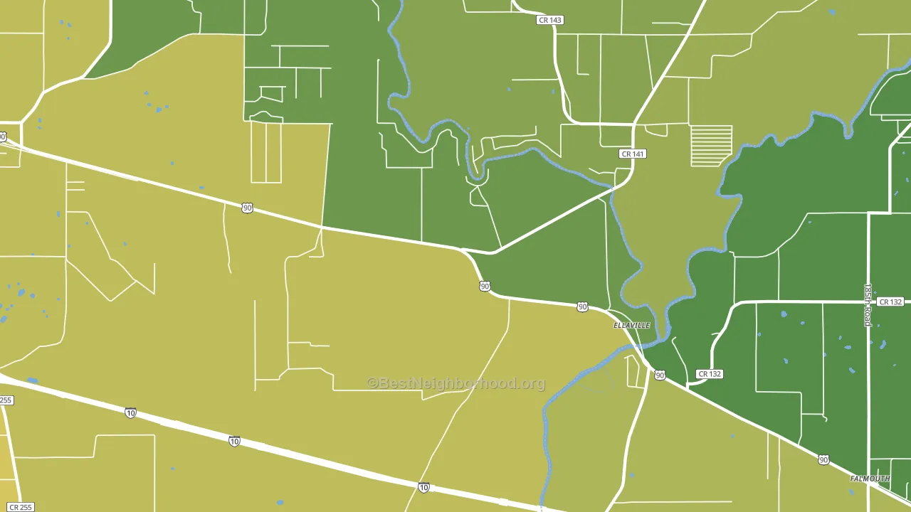 Ellaville, FL block-group voter-turnout map