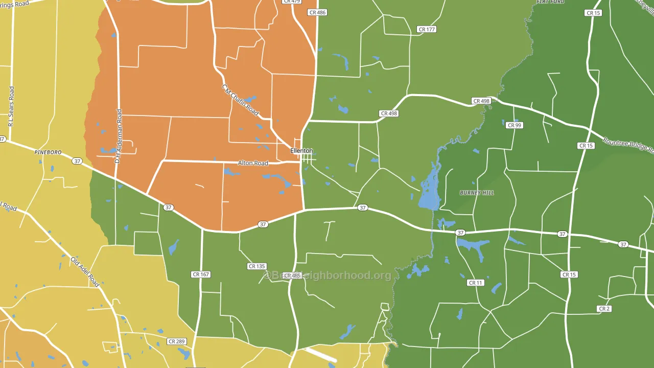 Ellenton, GA block-group voter-turnout map