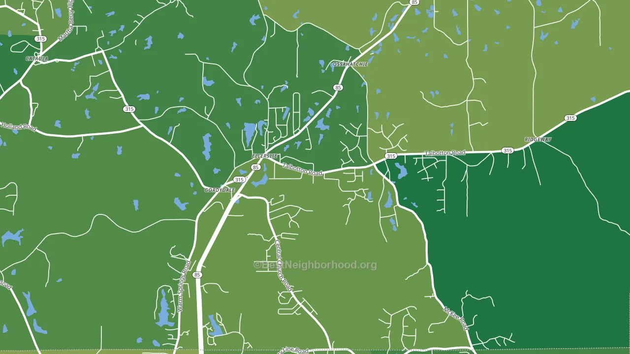 Ellerslie, GA block-group voter-turnout map