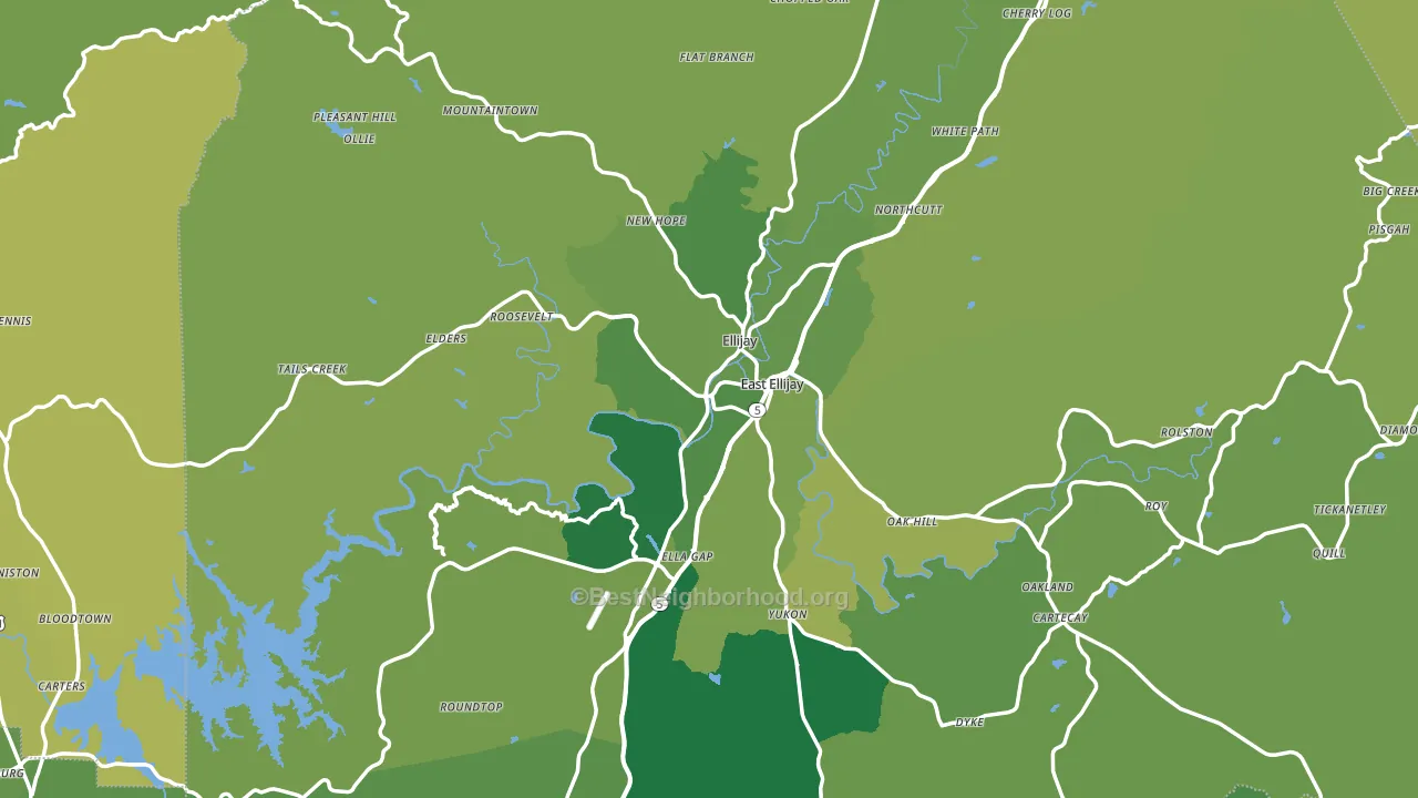 Ellijay, GA block-group voter-turnout map