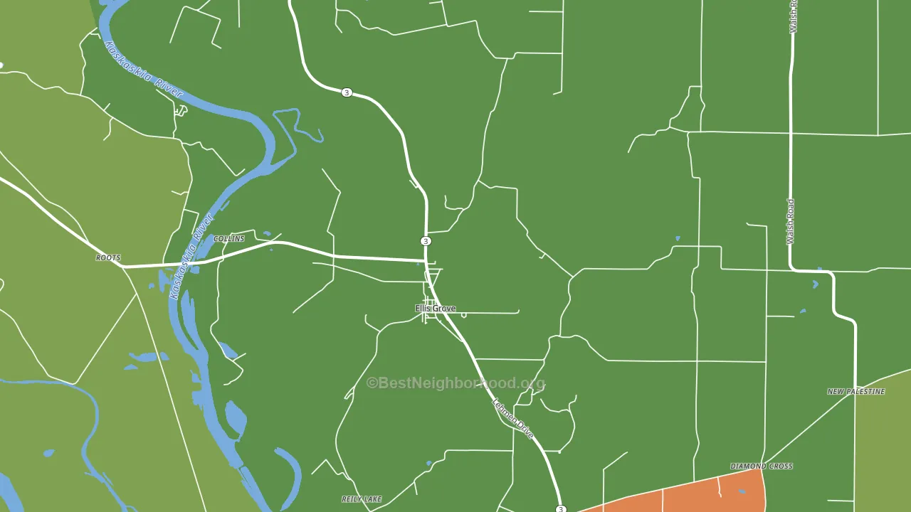 Ellis Grove, IL block-group voter-turnout map
