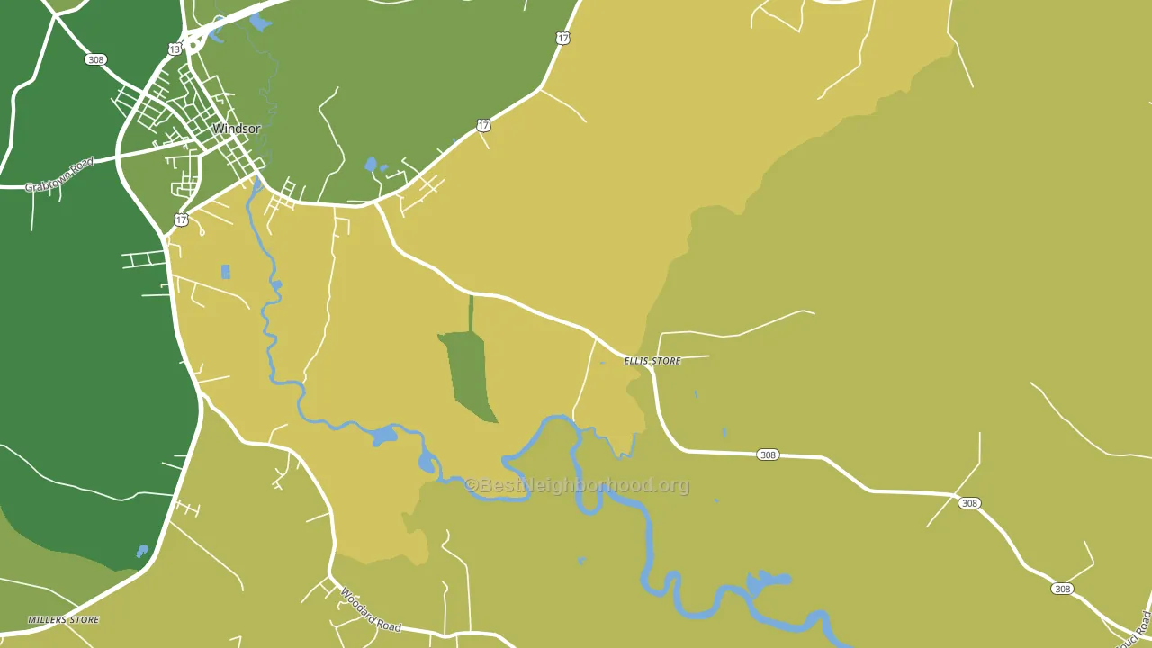 Ellis Store, NC block-group voter-turnout map
