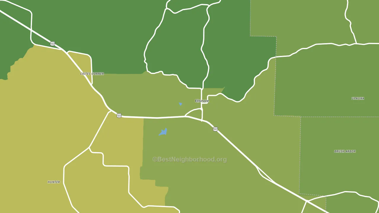 Ellsinore, MO block-group voter-turnout map