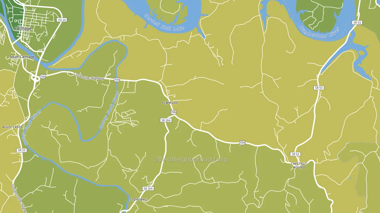 Elmwood, TN block-group voter-turnout map