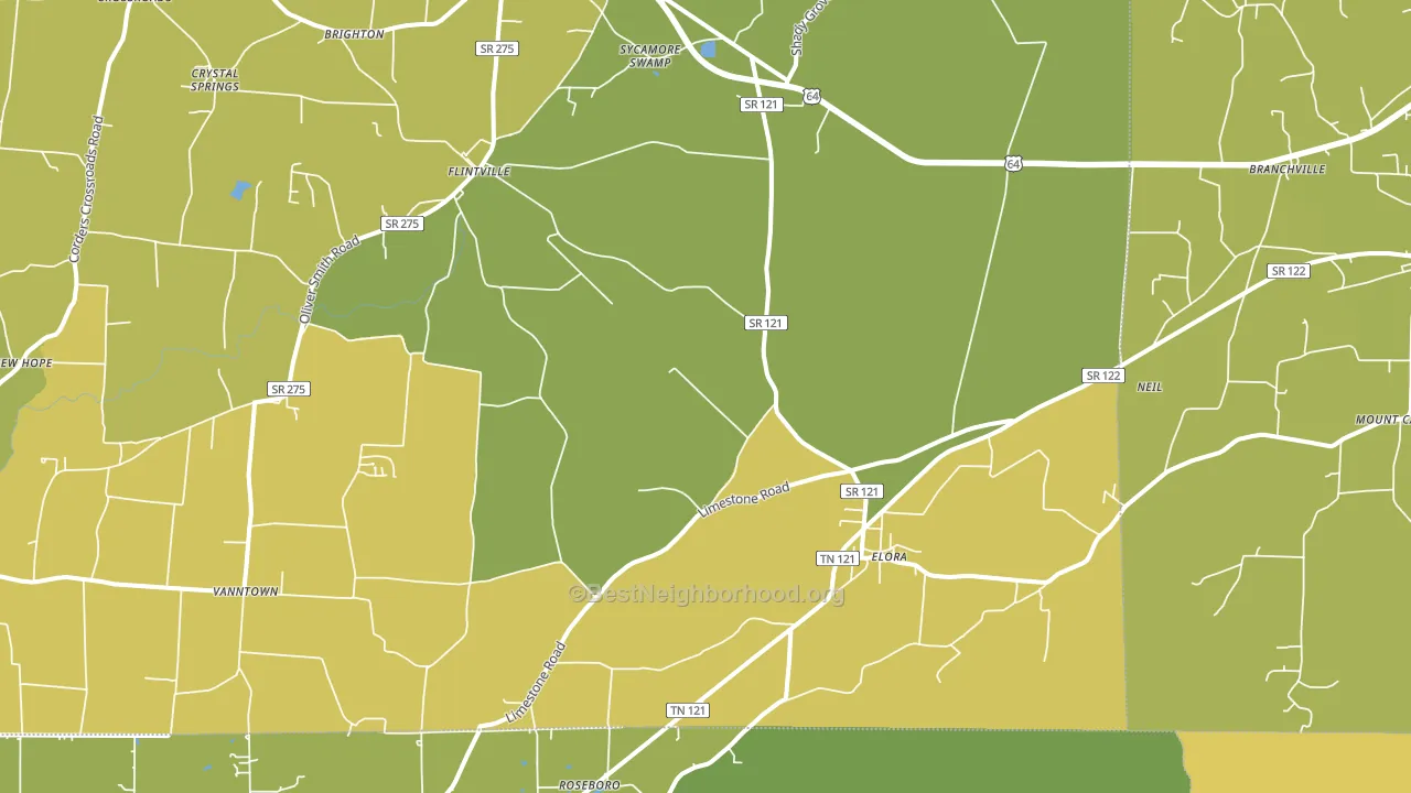 Elora, TN block-group voter-turnout map