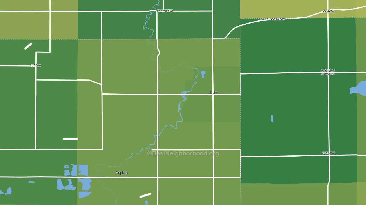Elsie, MI block-group voter-turnout map