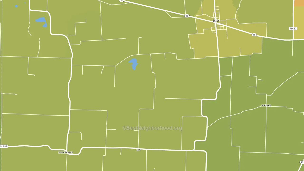 Ely, TX block-group voter-turnout map