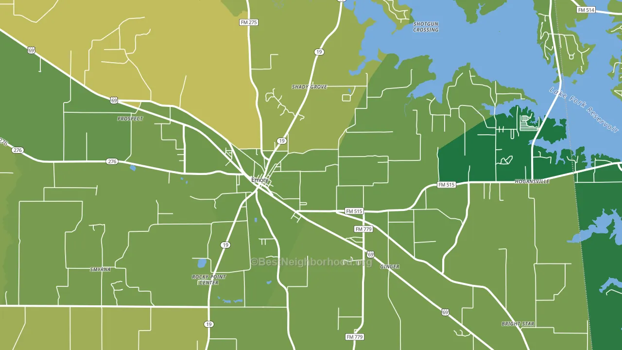 Emory, TX block-group voter-turnout map