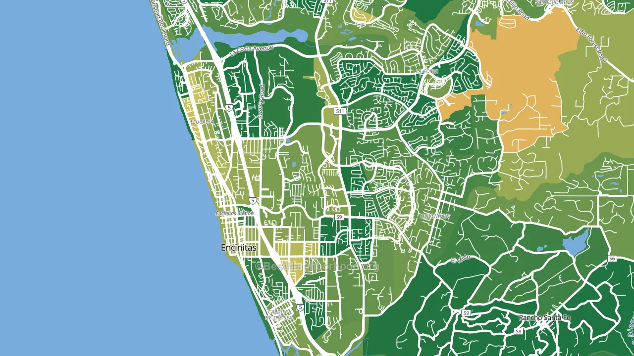 Encinitas, CA block-group voter-turnout map