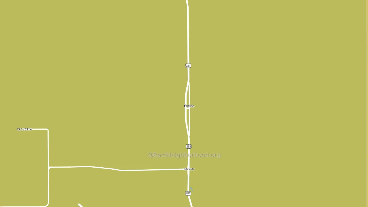 Encino, TX block-group voter-turnout map