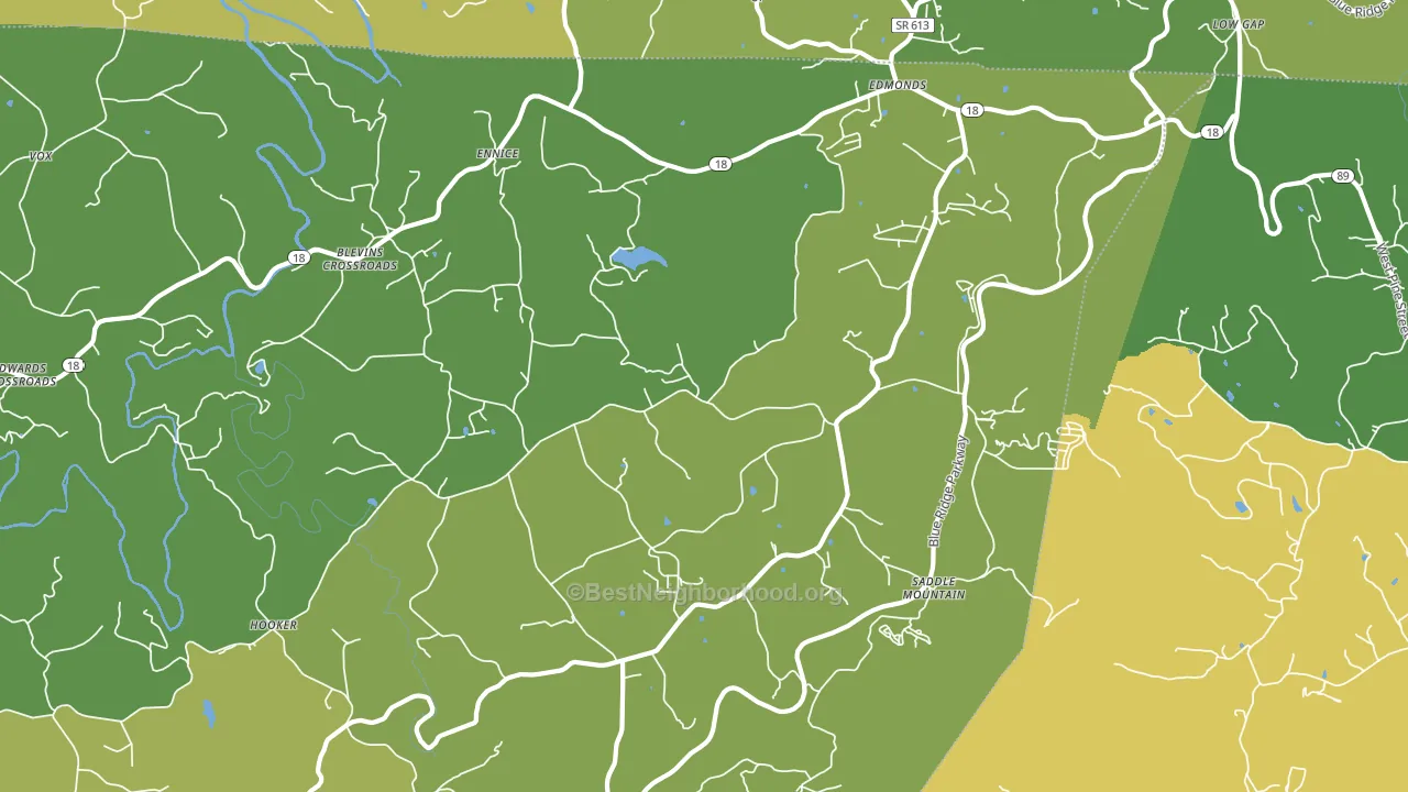 Ennice, NC block-group voter-turnout map