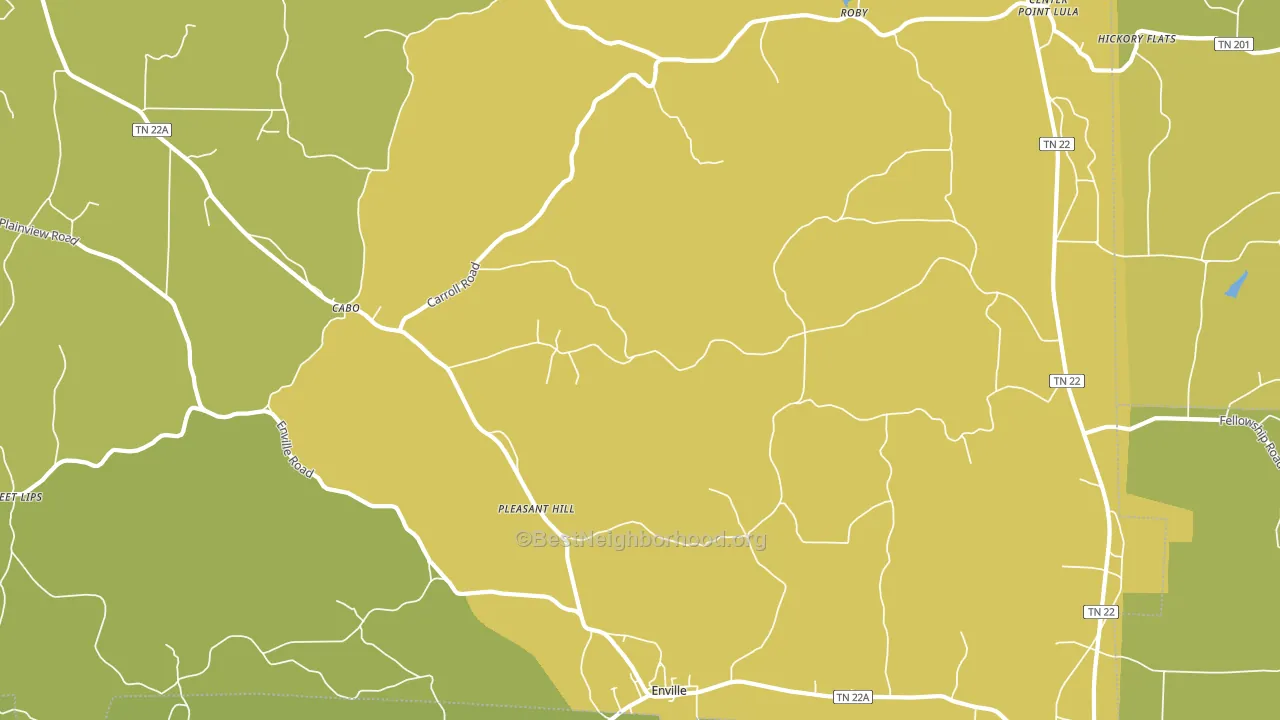 Enville, TN block-group voter-turnout map