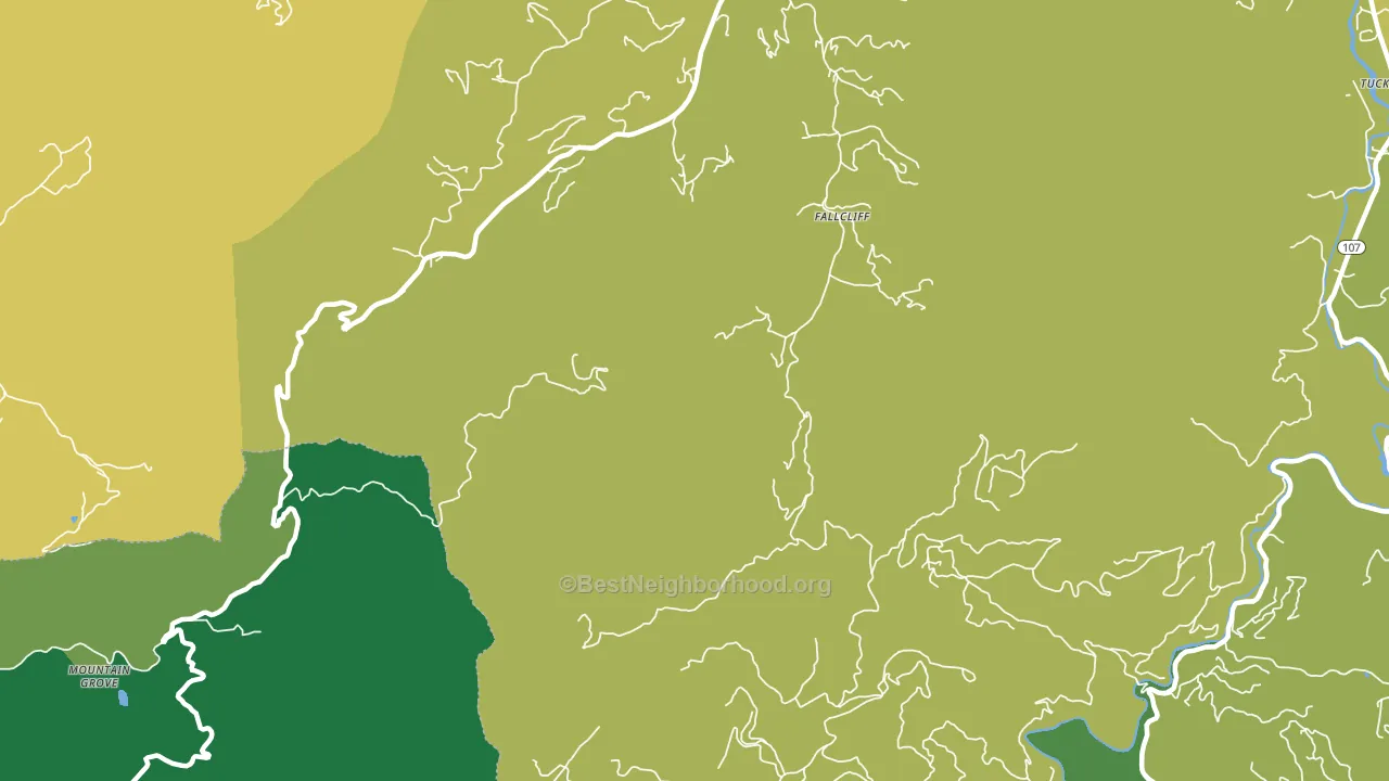 Erastus, NC block-group voter-turnout map
